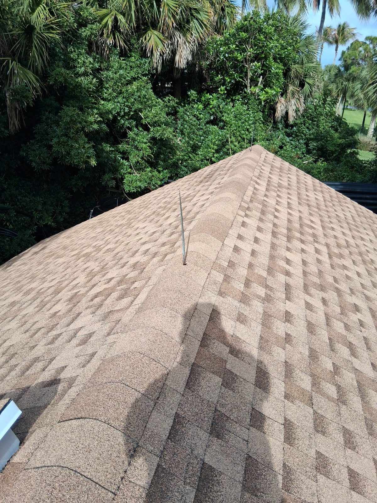 Completed new asphalt shingle roof on the Old Marsh pump house, with clean hip ridges running down to new eaves and the golf course visible beyond