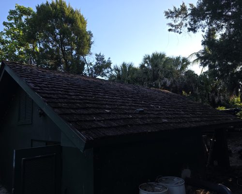 The Old Marsh pump house before reroofing, with an aged and weathered wood shake roof over green board-and-batten walls